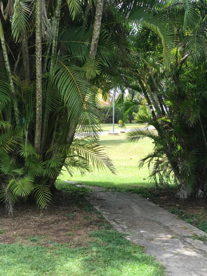 Alizes Bungalows Sainte-Anne  Luaran gambar