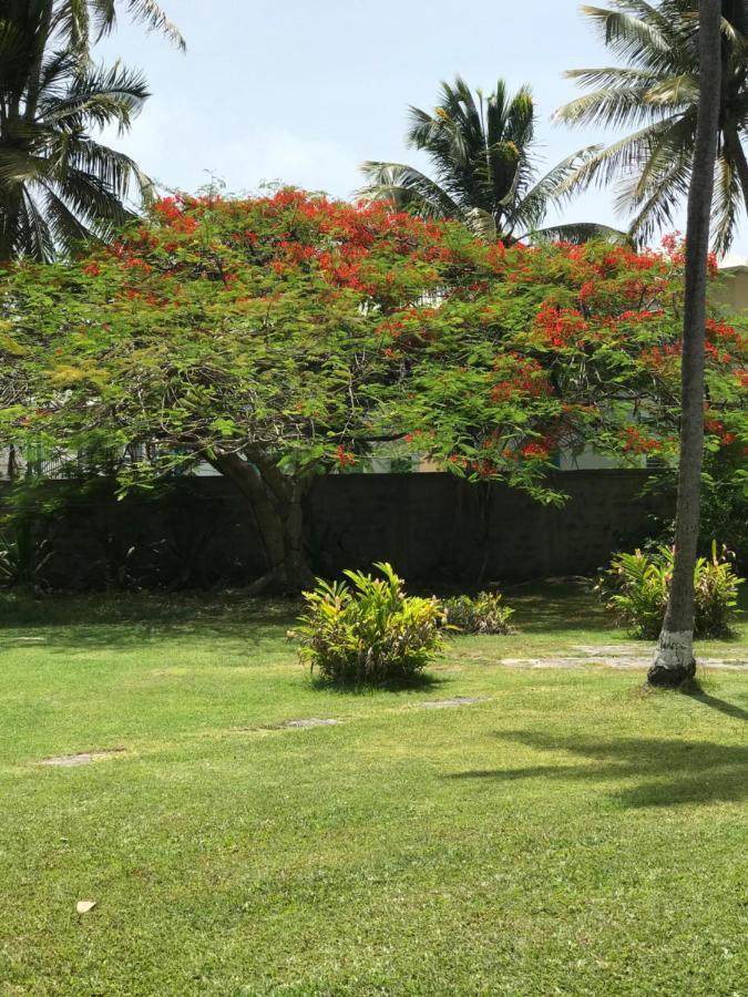 Alizes Bungalows Sainte-Anne  Luaran gambar